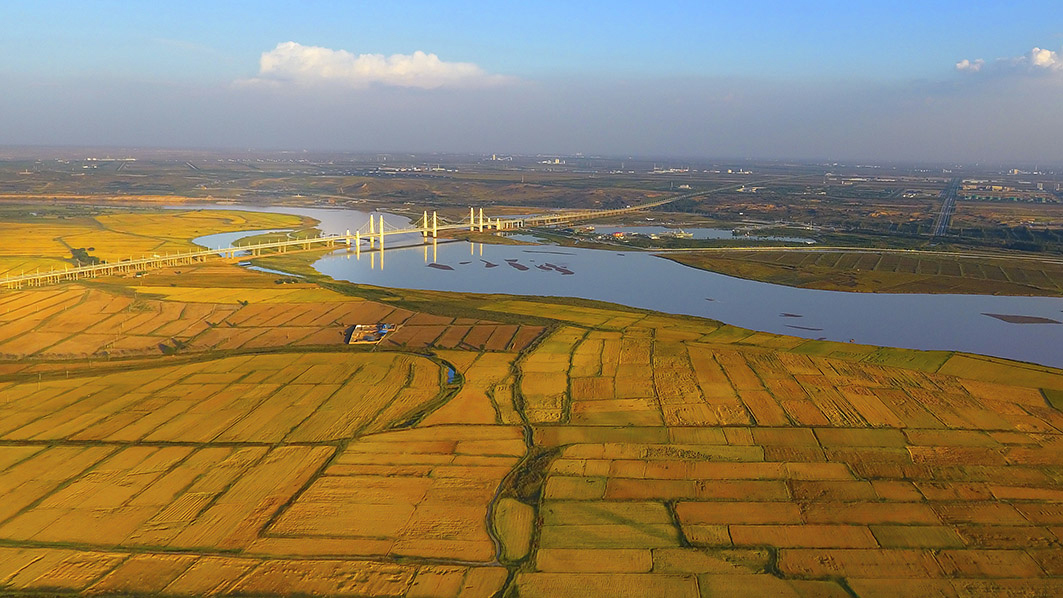 136黄河岸边丰收景-田满潮.jpg 136黄河岸边丰收景-田满潮.jpg