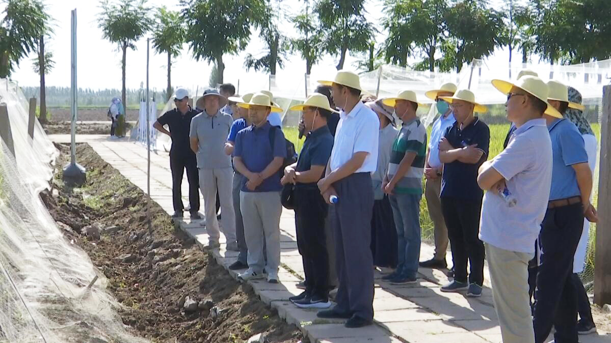 QQ截图20220822093751.jpg QQ截图20220822093751.jpg