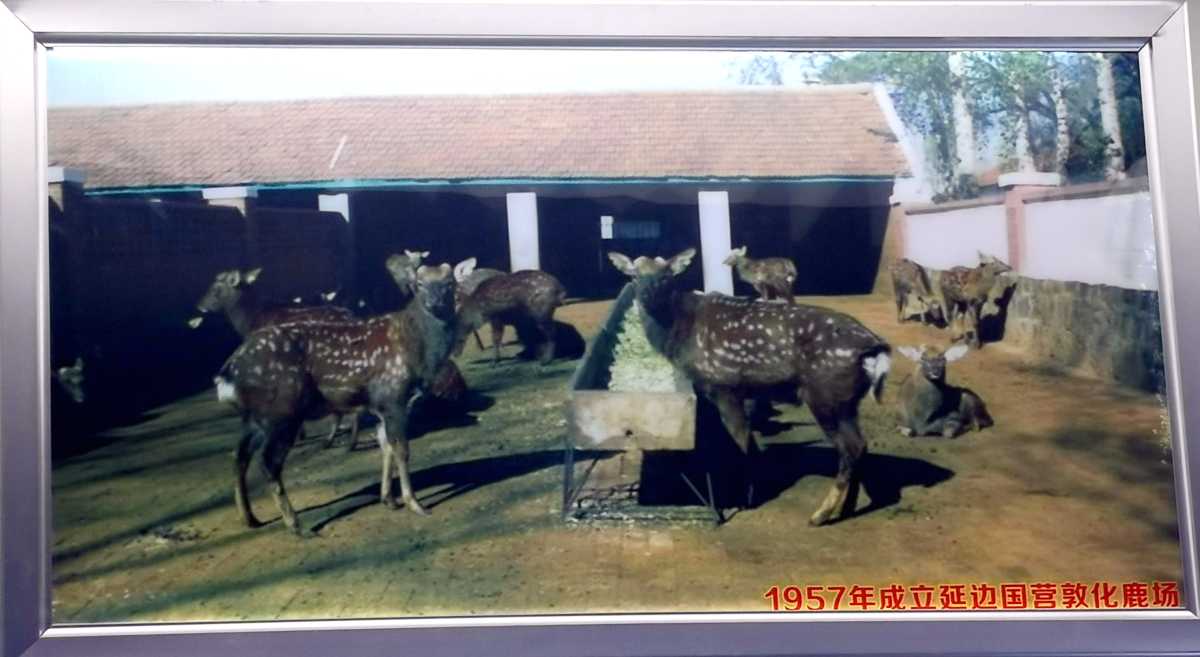 微信图片_20220904232415.jpg
