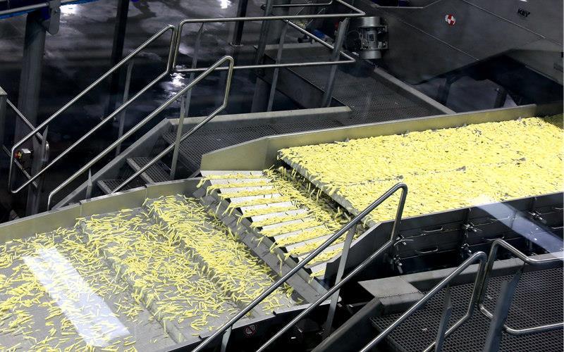 宁夏固原首次出口冷冻薯条 为外贸经济注入新活力