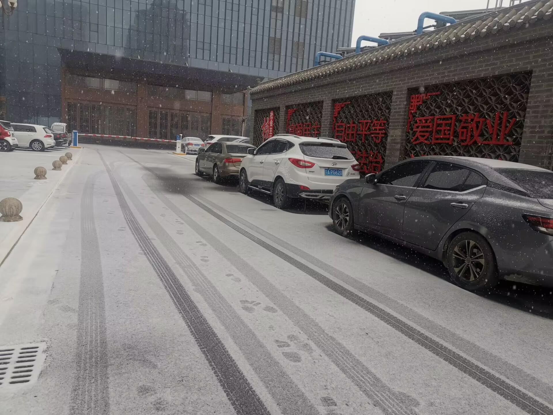 QQ图片20230208154408.jpg