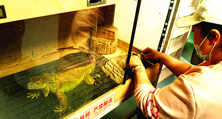 DSC08544_副本.jpg