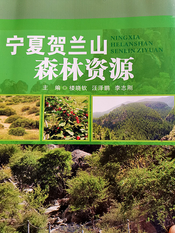 IMG_20230311_141203_副本.jpg