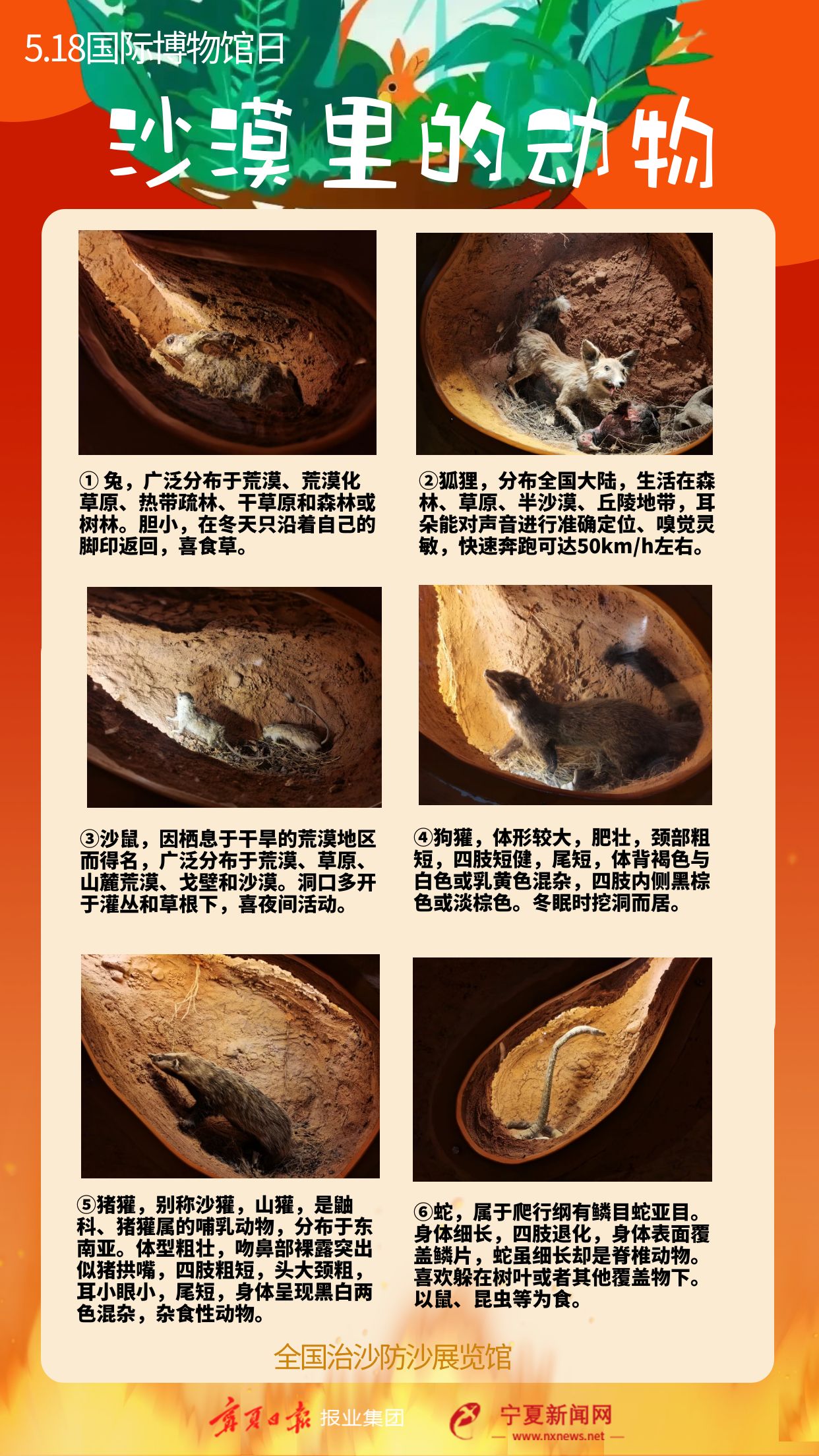 图怪兽_8aaac6a6f9257e815a14cca8931d2420_95245000.jpg