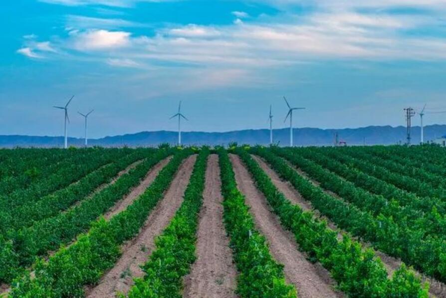 QQ截图20230415231303.jpg QQ截图20230415231303.jpg