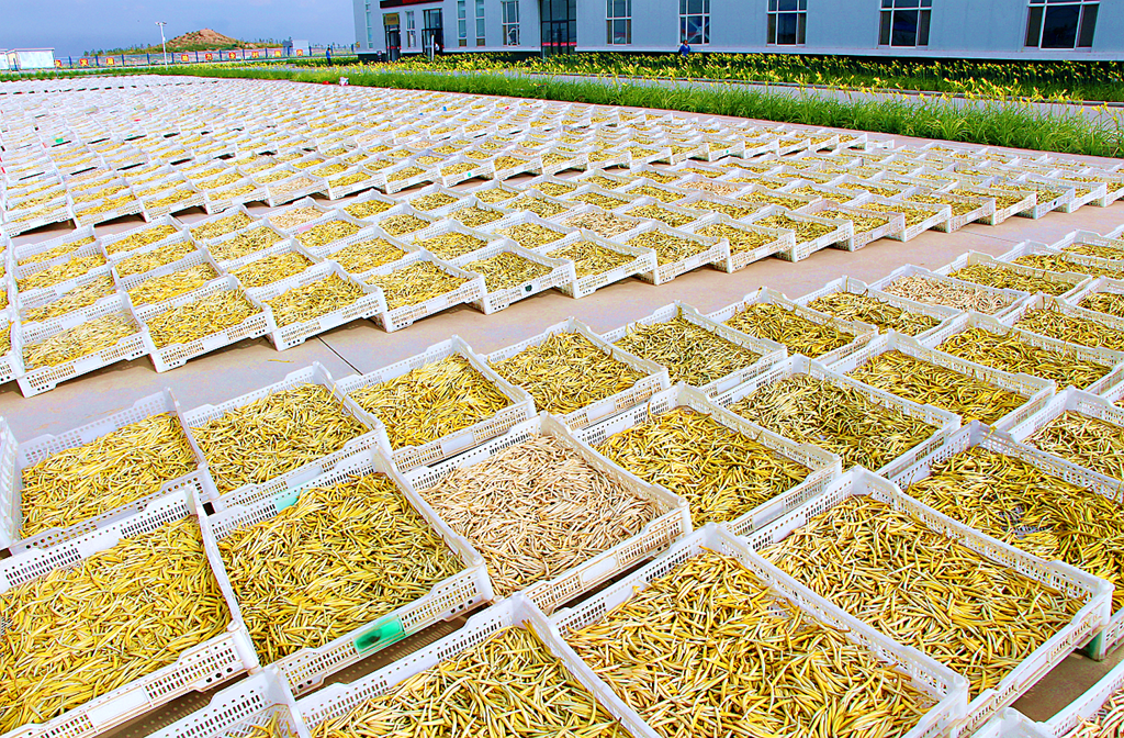 20230713211831.png 20230713211831.png