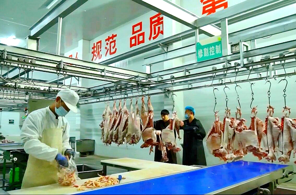 QQ截图20230721210934.jpg
