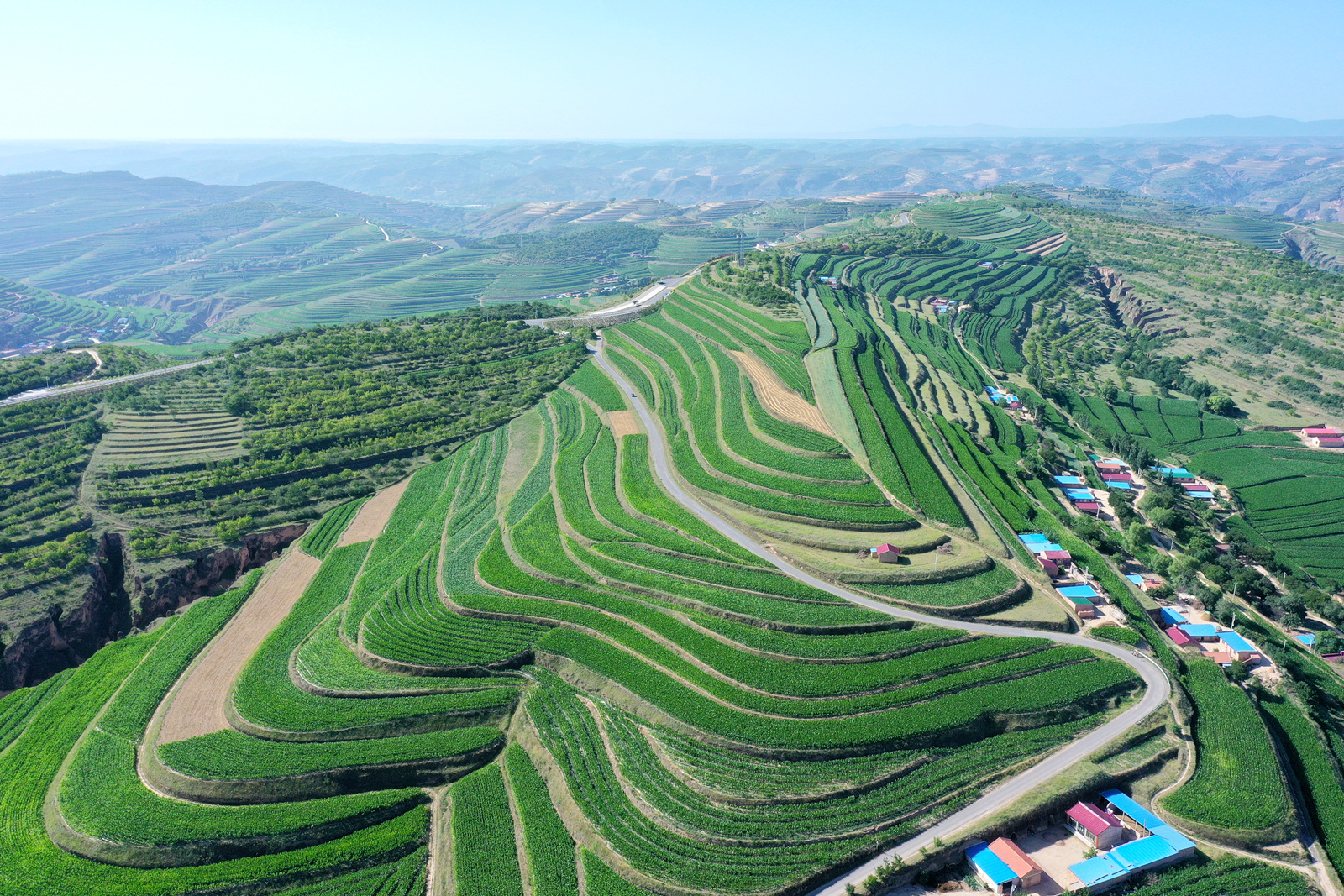 DJI_0173.JPG