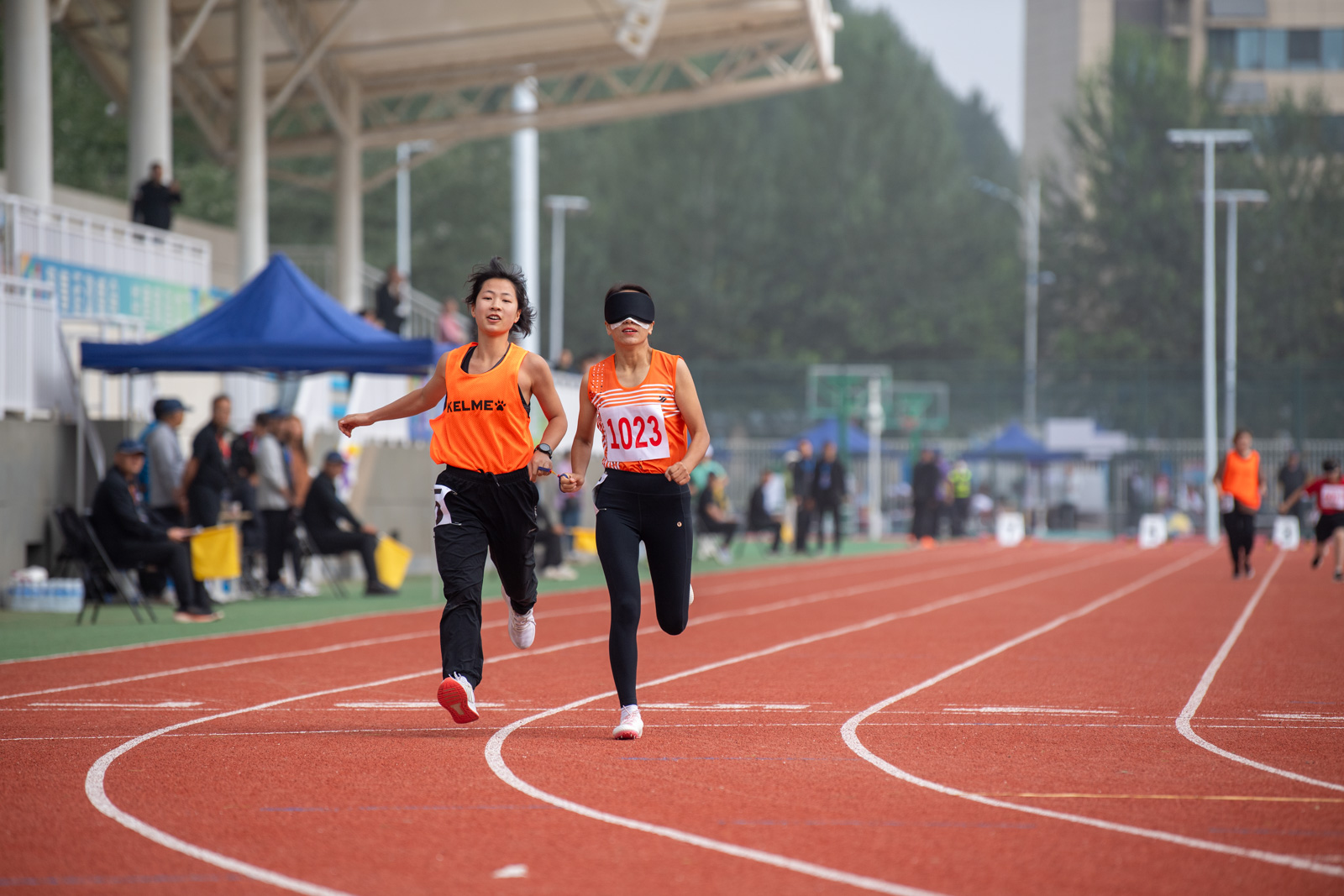 qyt (2 - 18).jpg