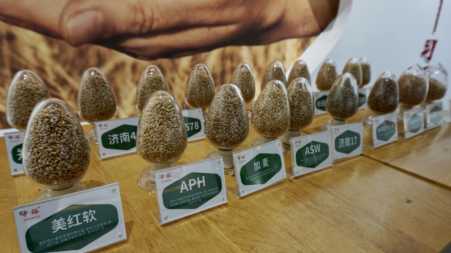 WechatIMG3044.jpeg WechatIMG3044.jpeg