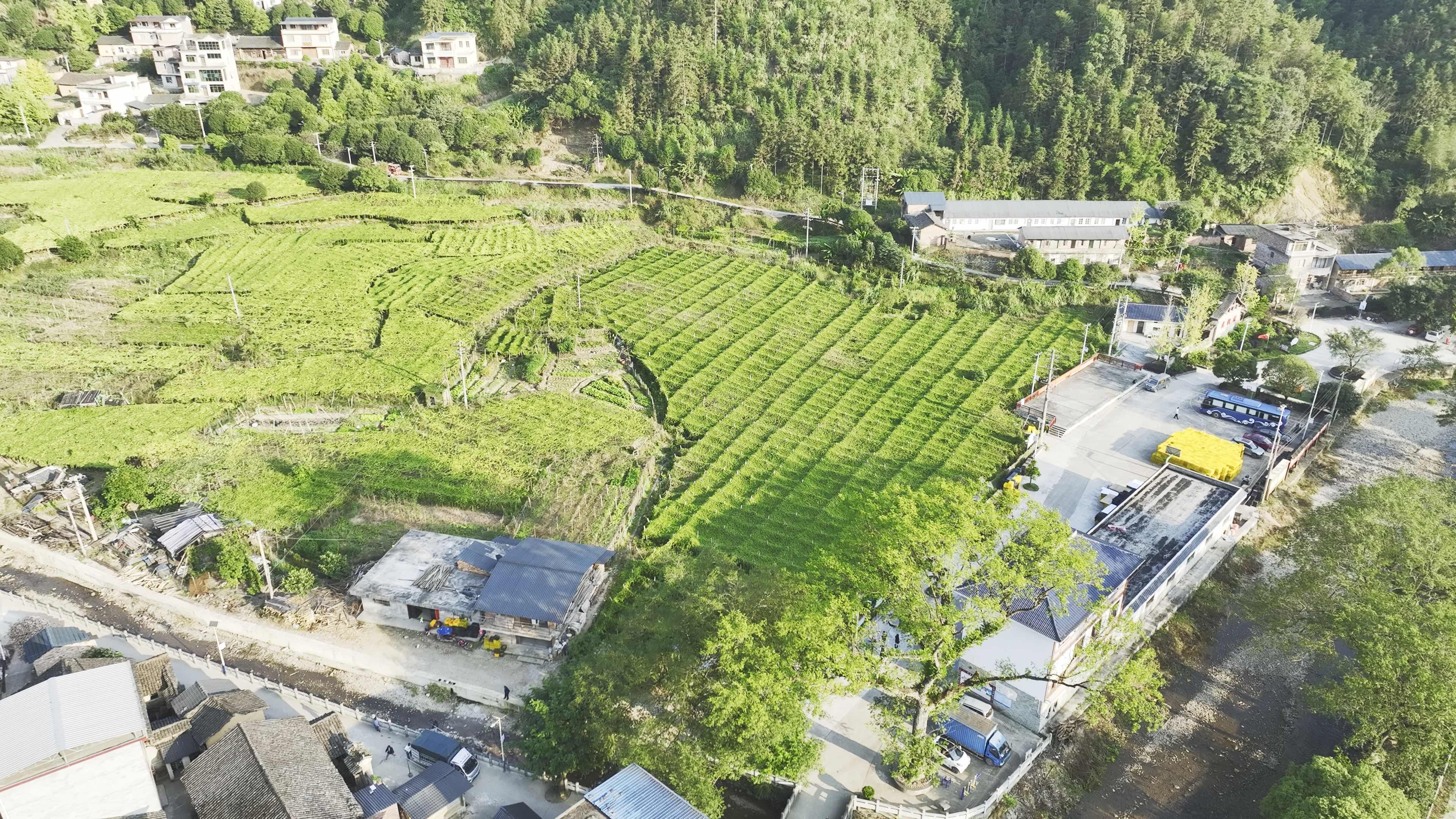 桂林市临桂区茶洞镇仁义村委慈洞村（航拍）。记者 胡兆双 摄.jpeg