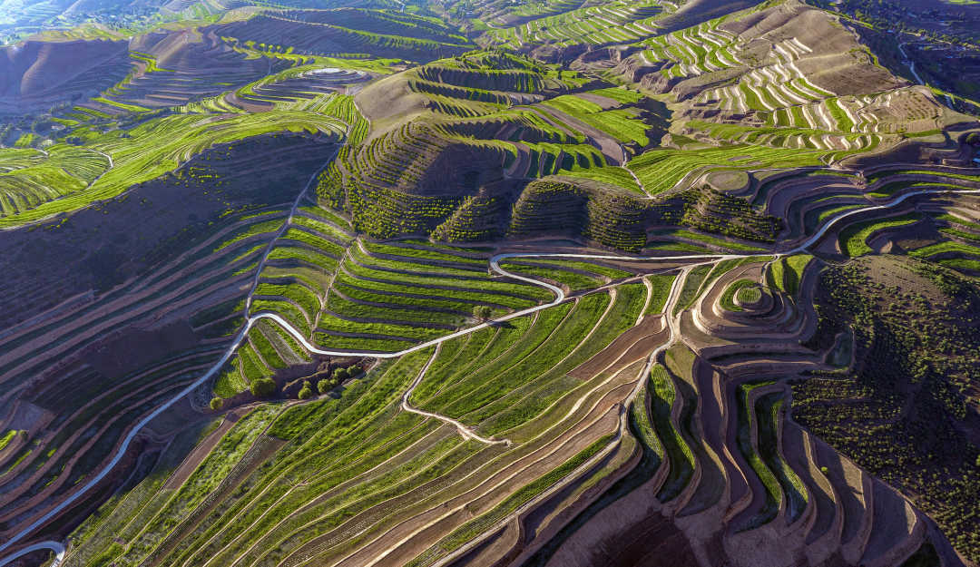 组图《梯田王国》4、李新景18146812324-8月拍摄于偏城乡小寺湾 拷贝.jpg