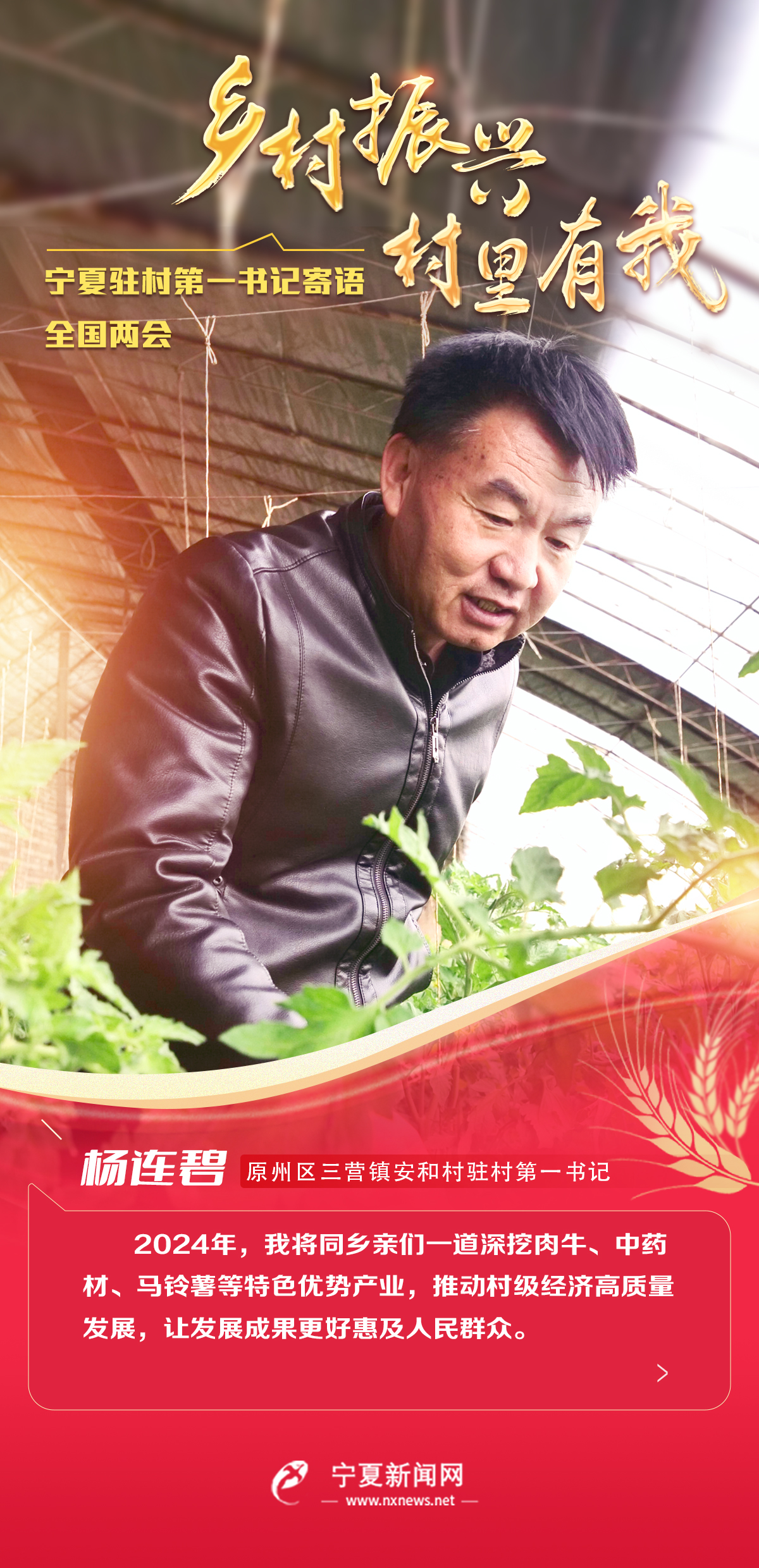 杨连碧-预览图.jpg