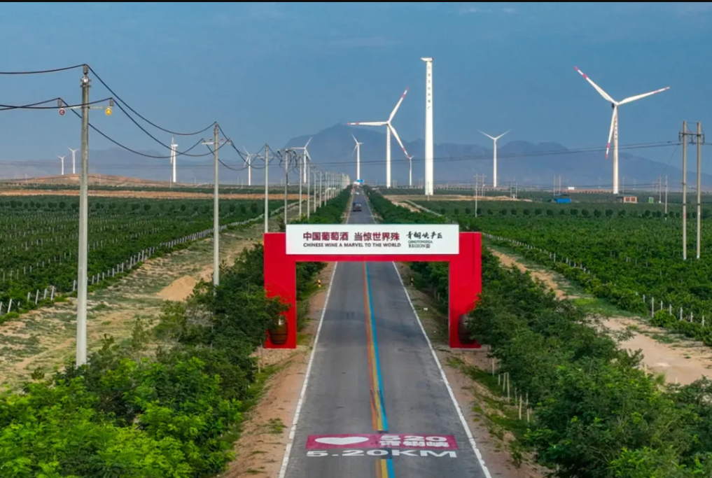QQ截图20240607124317.png