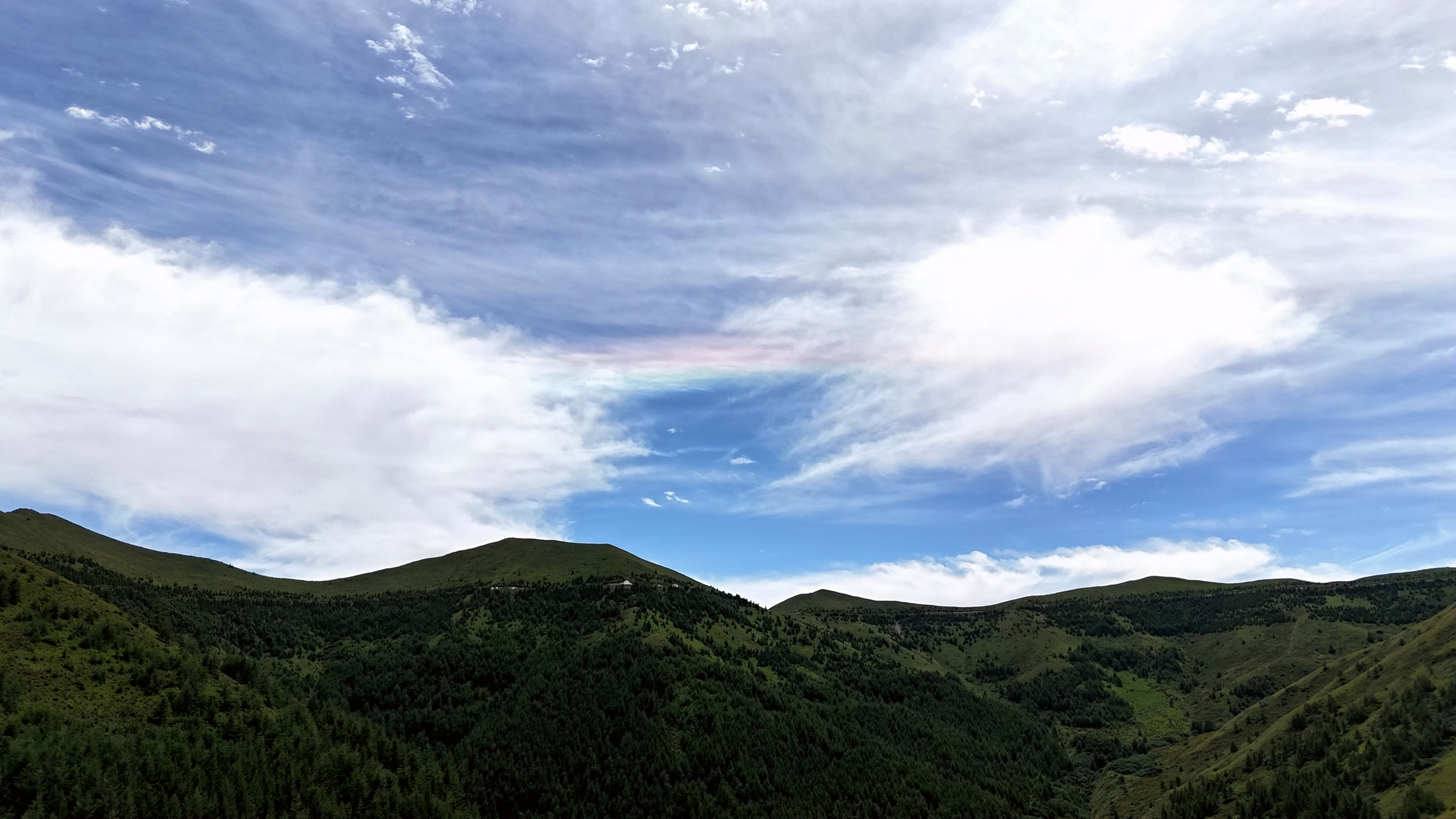 DJI_20240726142408_0194_D.JPG