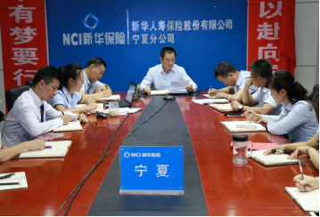 新华保险宁夏分公司开展扫黑除恶专项斗争