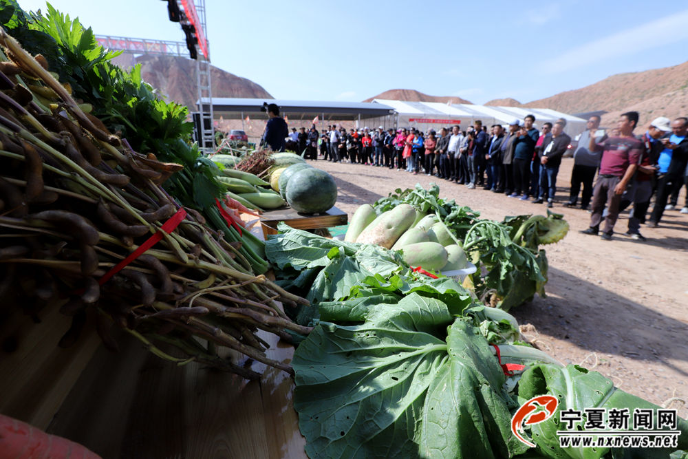 心县腌制民间牛肉举办节黄谷川美食天下大比拼艺人农民丰收首届如何图片