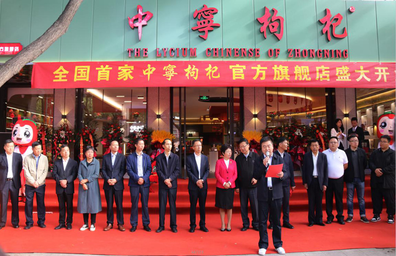 图片8.jpg