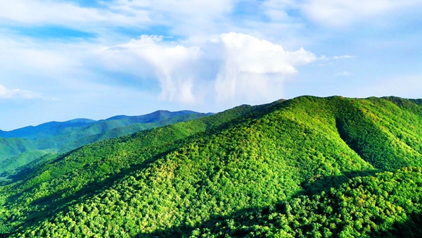 六盘山.jpg