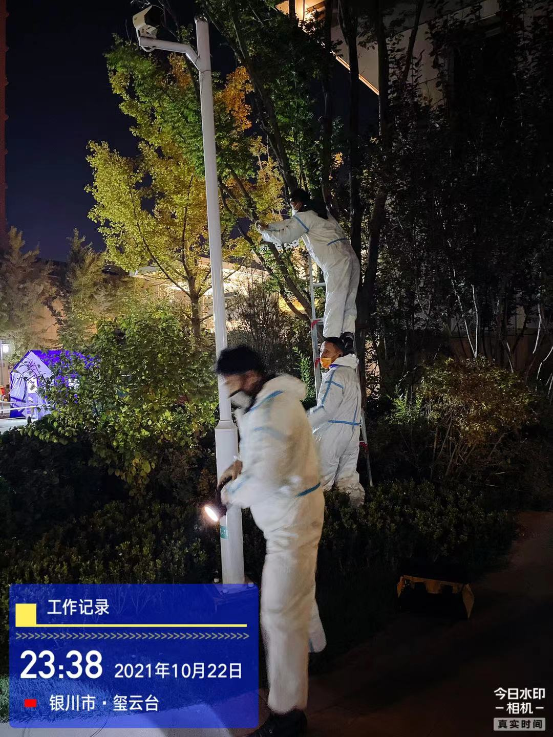 图片11.png