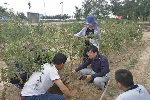 微信图片_20220302214826.jpg 微信图片_20220302214826.jpg