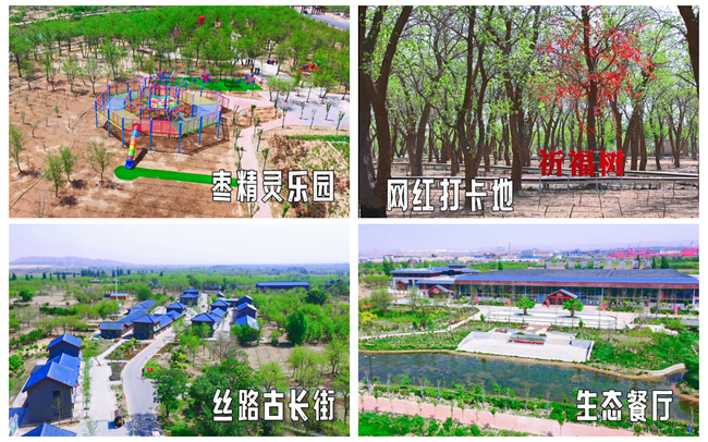 图片1_副本_副本.png