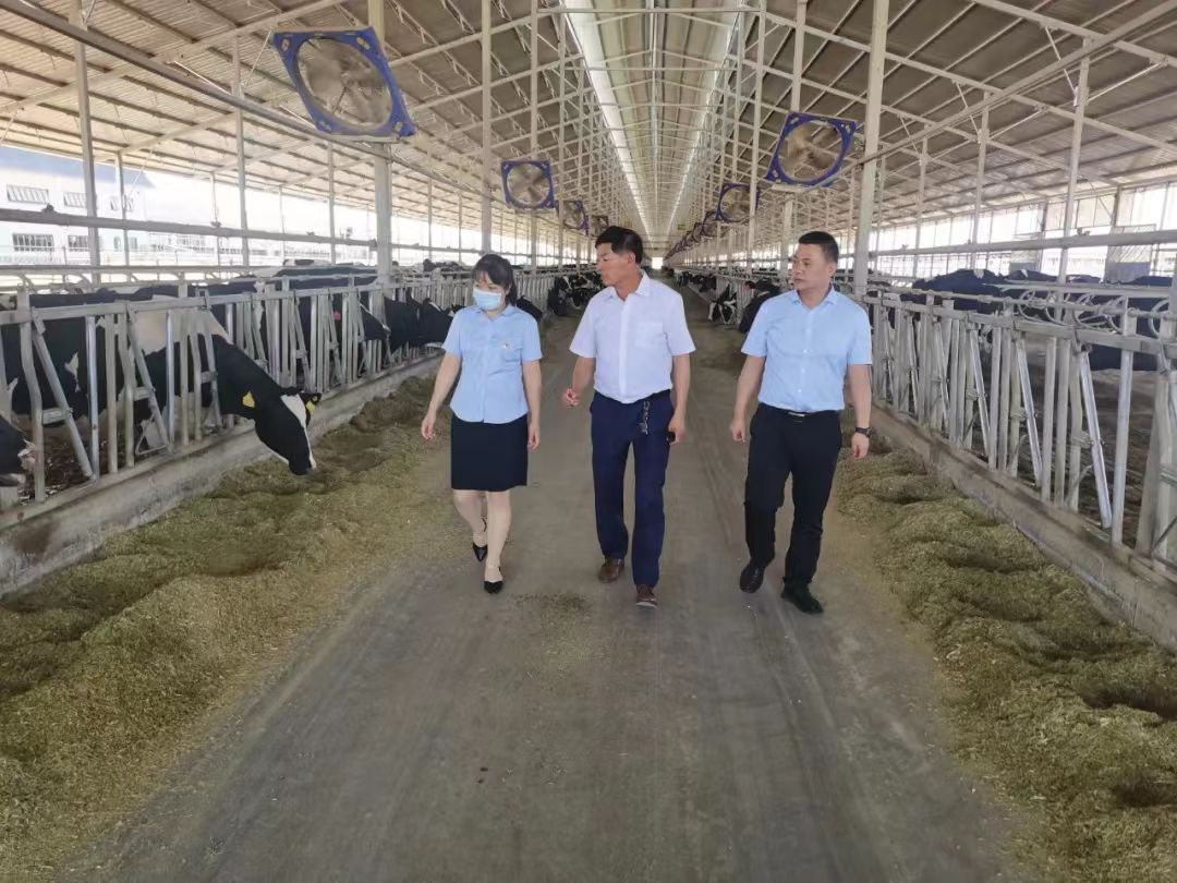 灵武农商行暖心服务“贷”动奶产业新发展