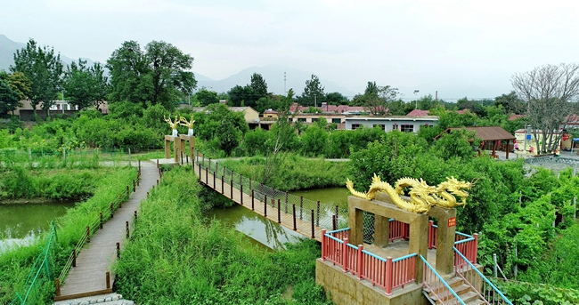 点赞！石嘴山市“醉美石嘴山金秋乡村生态游”入选全国乡村旅游精品线路