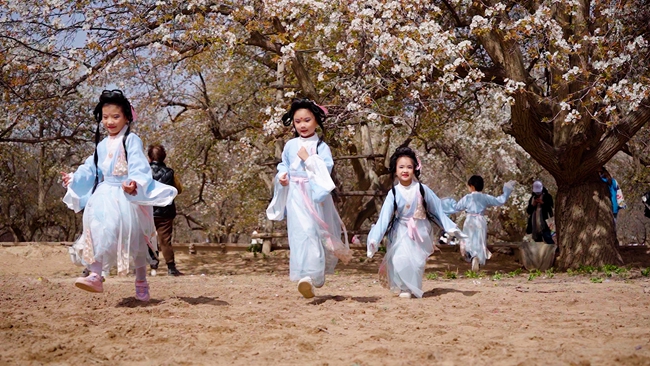 中卫梨花节 (3).jpg