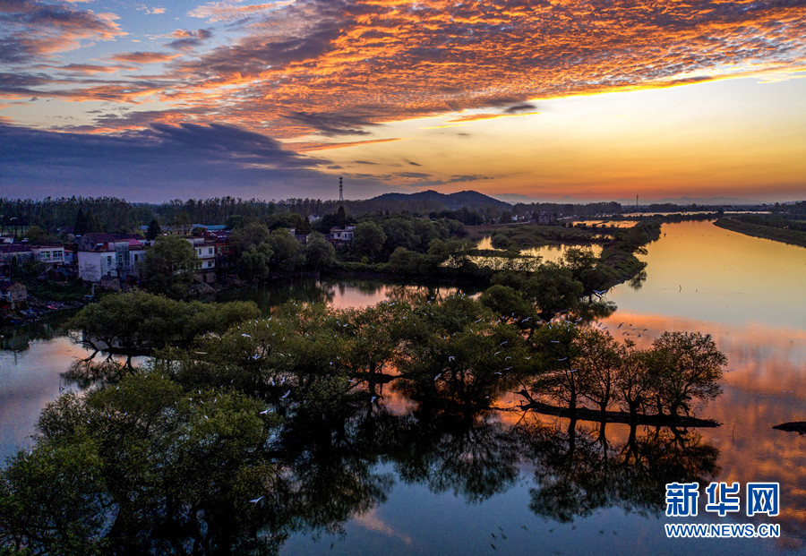 庐江县白湖镇白湖湿地美景.新华网发(左学长 摄)