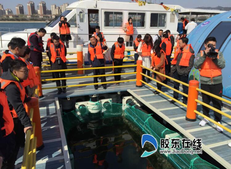 QQ截图20180418151525.jpg