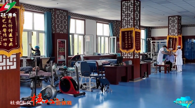 平罗县中医药诊疗指导中心启用