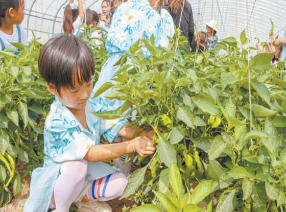 平罗县黄渠桥镇五星村：构建“农耕研学+特色餐饮+田园旅游”的产业模式