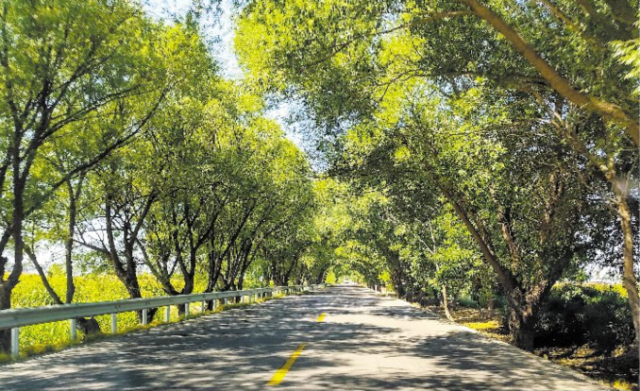 一路风景 一程诗意