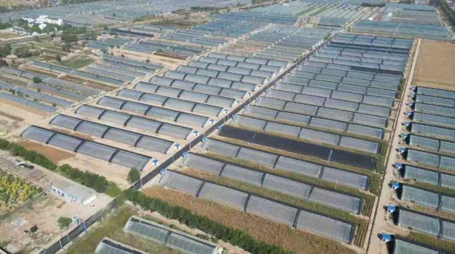 平罗县城关镇沿河村设施农业产业园鸟瞰图