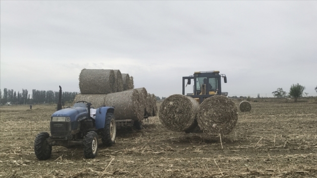 惠北村“铁牛”奋蹄 蹚出强村富民路