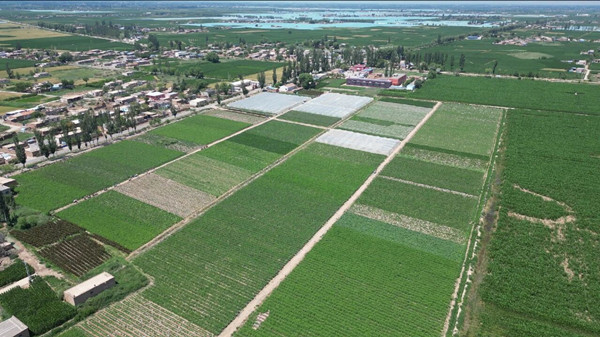 “石嘴山给了我一片沃土，播种希望的种子”