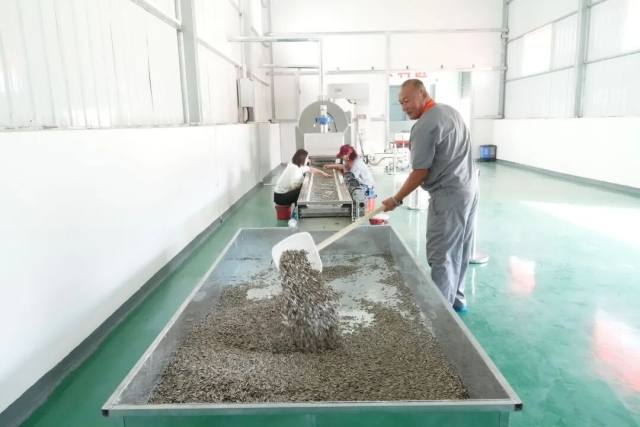 东风村党建引领开辟强村富民新路径