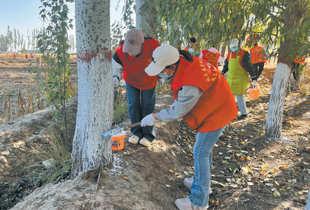 城关镇：为农田水利设施“舒筋活血”