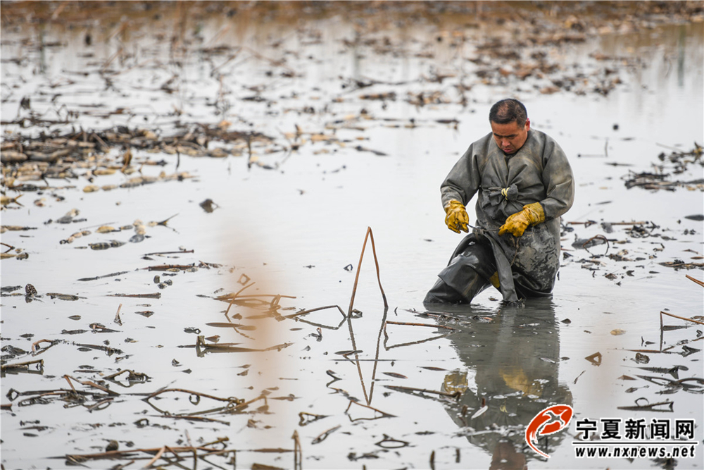 深一脚浅一脚郭良山走到水齐大腿深的地方用随身带的绳子将水枪的管子绑在自己的腰上。