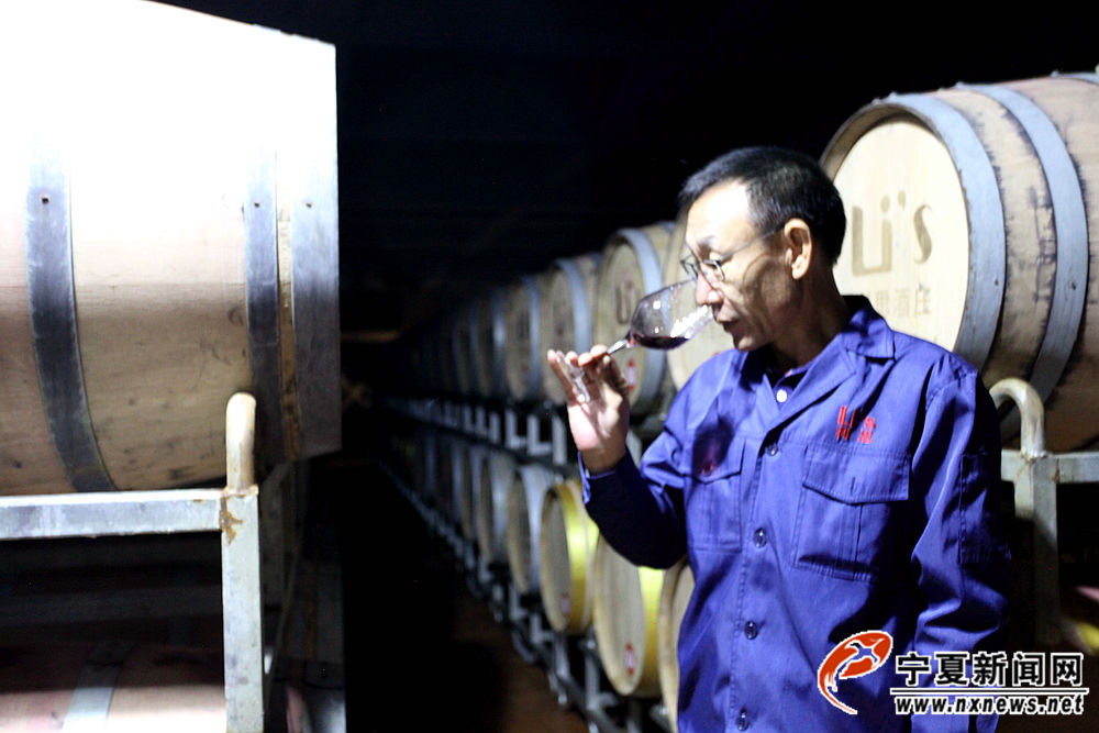 发酵过后的红葡萄酒都会被转移到这个酒窖里的橡木桶中进行熟化。在熟化过程中，郭万柏每隔一段时间就会检测一下葡萄酒的情况。