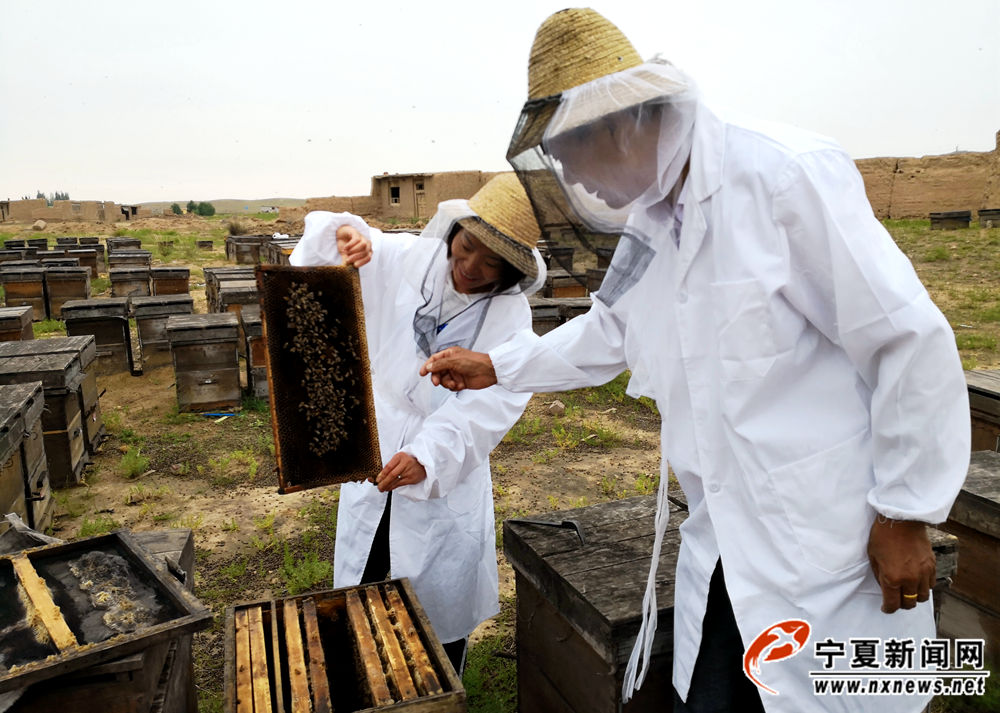 薛志刚在养蜂人肖秀英的蜂场，了解蜂蜜的采集情况。他重品质，更重信用，和肖秀英合作这些年来，赢得了对方的信任。