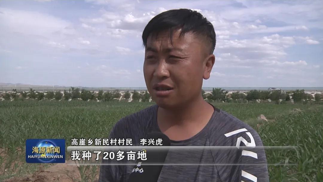 海原高崖乡新民村:细查精补 "清零"群众难心事