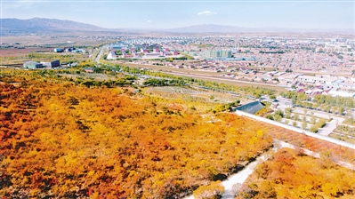 <p>　　社会扶贫的强大合力，帮助海原县逐步走出贫困、走向小康。</p>