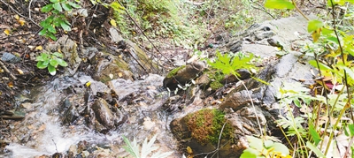 <p>　　南华山灵光寺山泉</p>