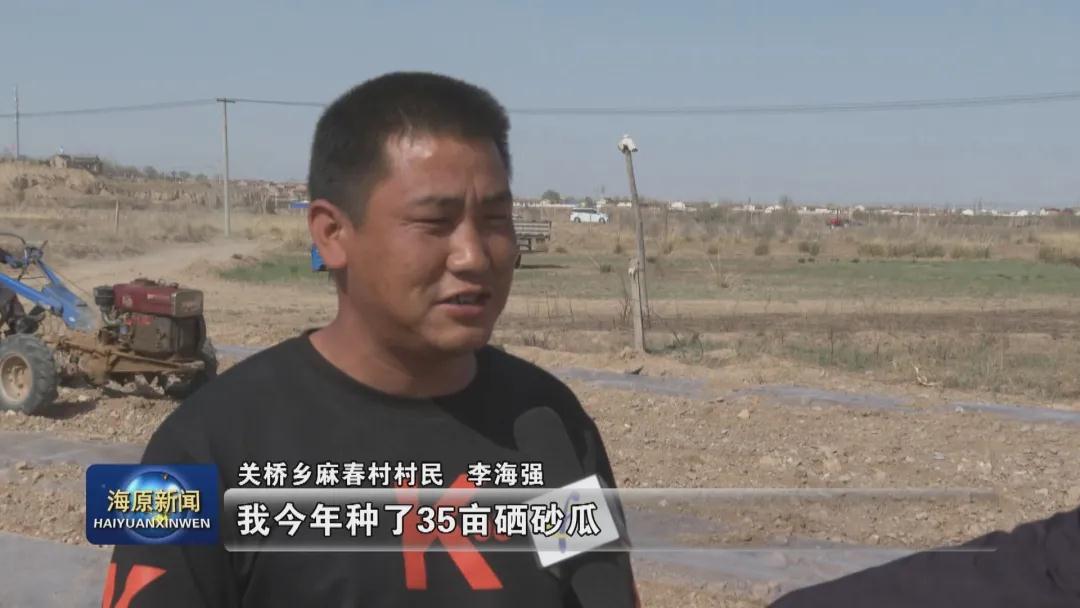 海原关桥乡:栽上致富瓜 托起小康梦