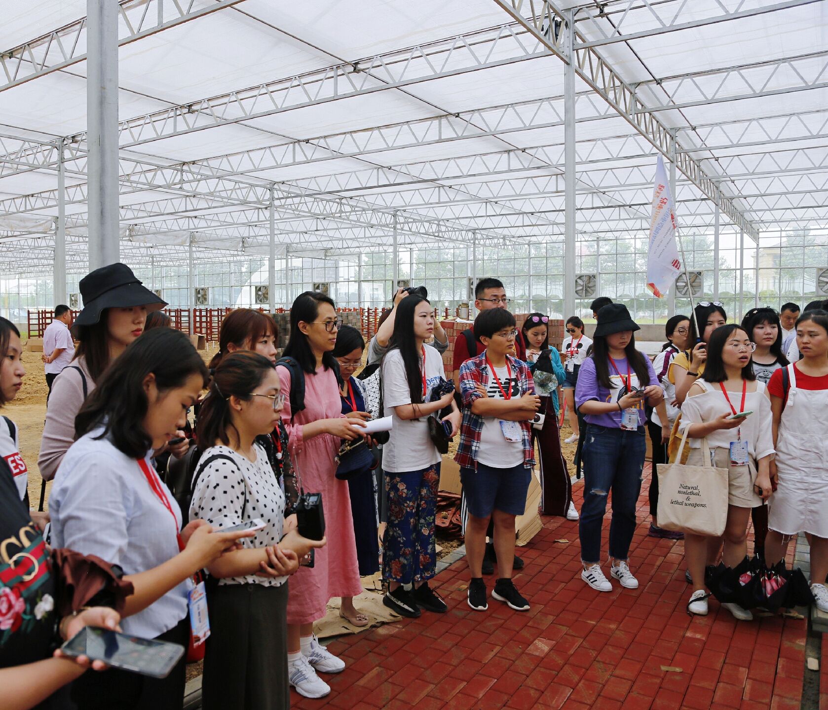 QQ图片20180529173812.jpg