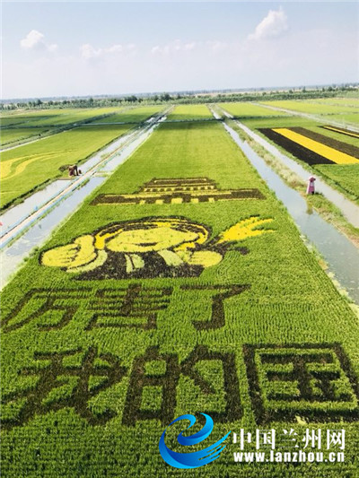 络媒体宁夏行走进稻渔空间生态观光园:银川都