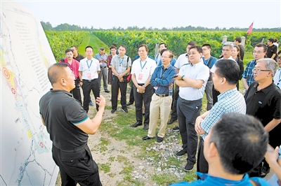 <p>　　8月28日，媒体嘉宾在志辉源石酒庄了解宁夏贺兰山东麓葡萄酒产业发展情况。</p>