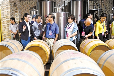 <p>　　参加全国省级党报总编辑年会的嘉宾们来到罗山脚下，了解红寺堡区葡萄酒产业在脱贫富民方面发挥的重要作用。</p>